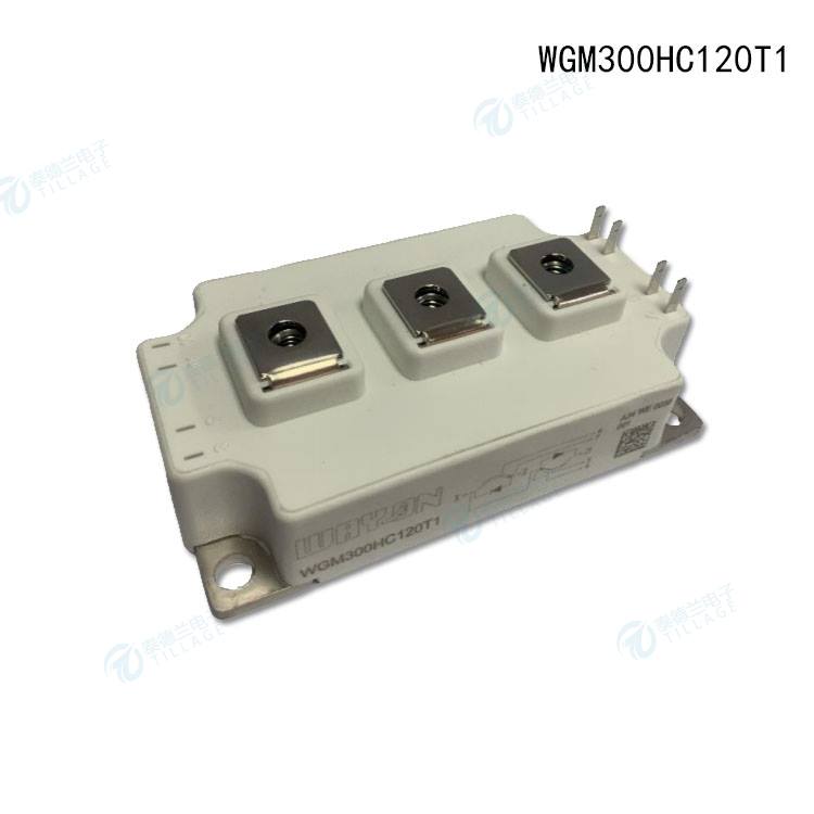 WGM300HC120T1