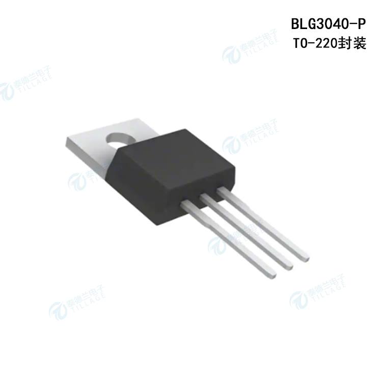 BLG3040-P